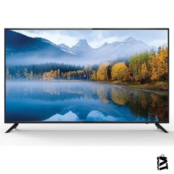 Profilo 55PA515EG 55" 140 Ekran Uydu Alıcılı 4K Ultra HD Smart LED TV